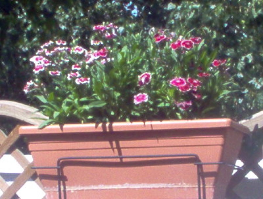 Imagen 3
