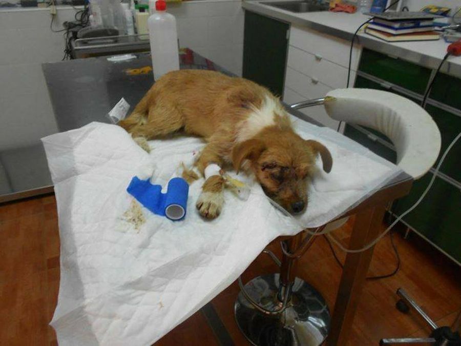 Imagen 3