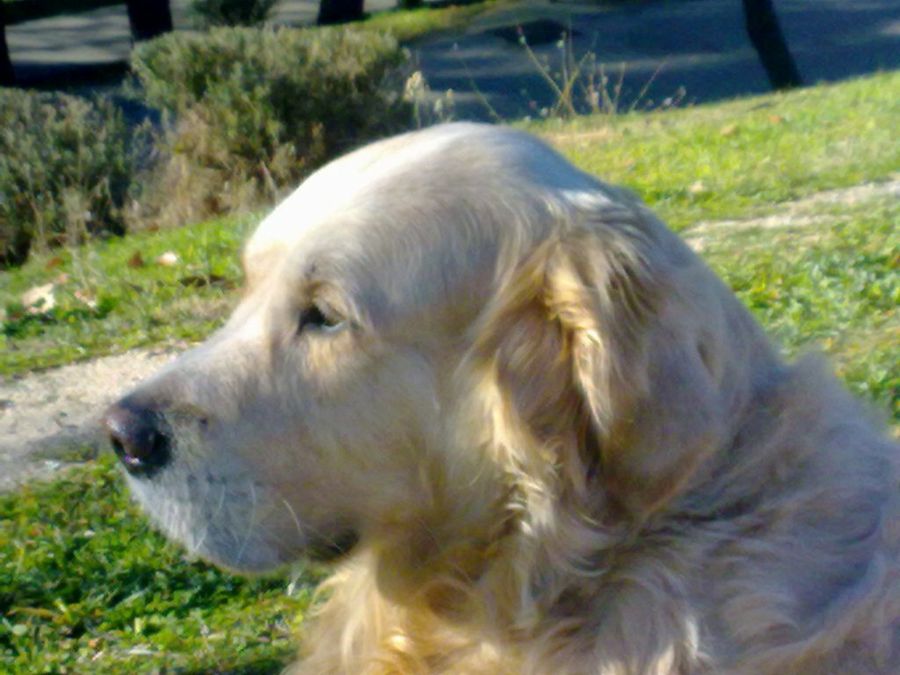 Imagen 3