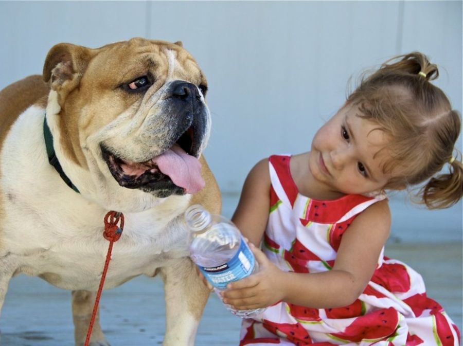 perro y bebé
