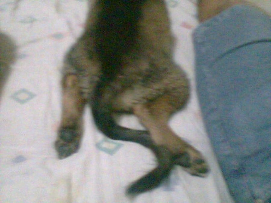 Imagen 1