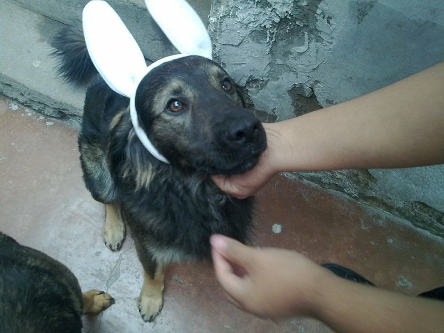 Imagen 5
