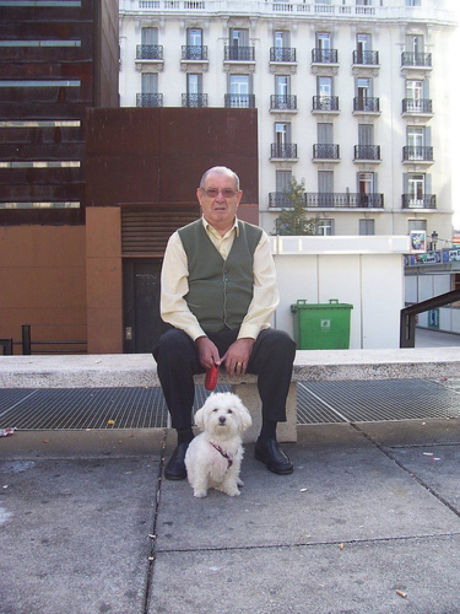 perro y anciano