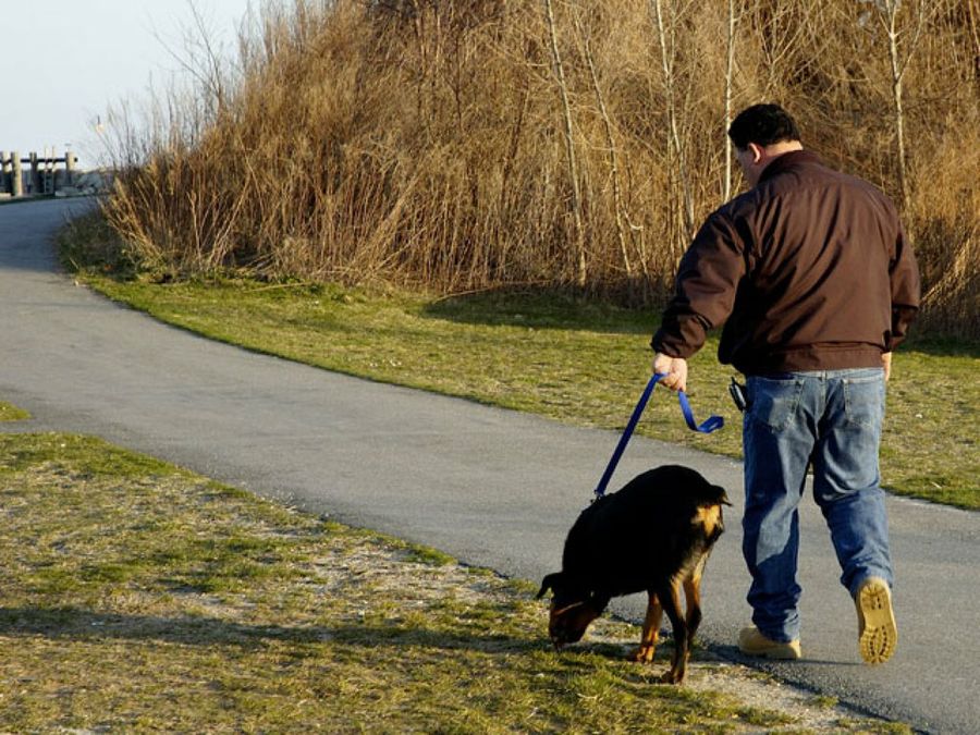hombre paseando al perro