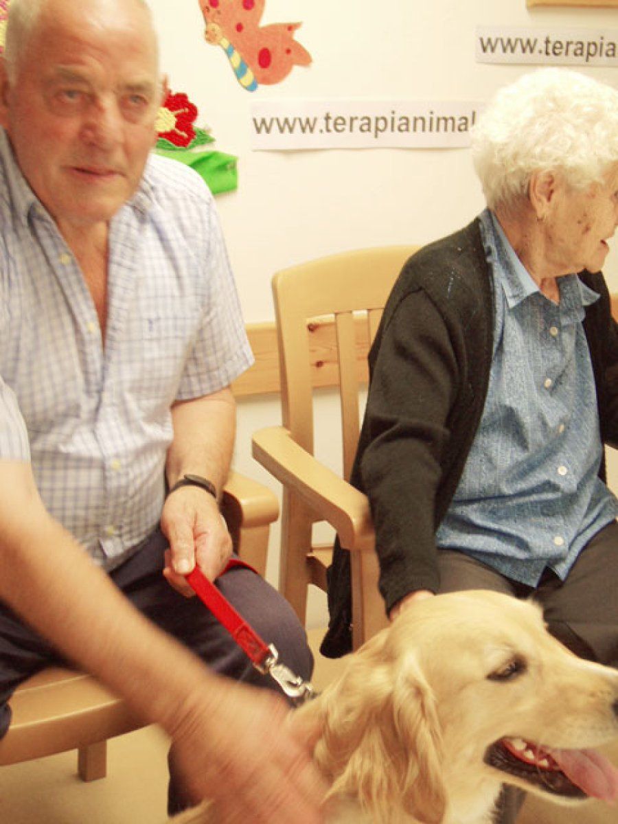 perro en terapia