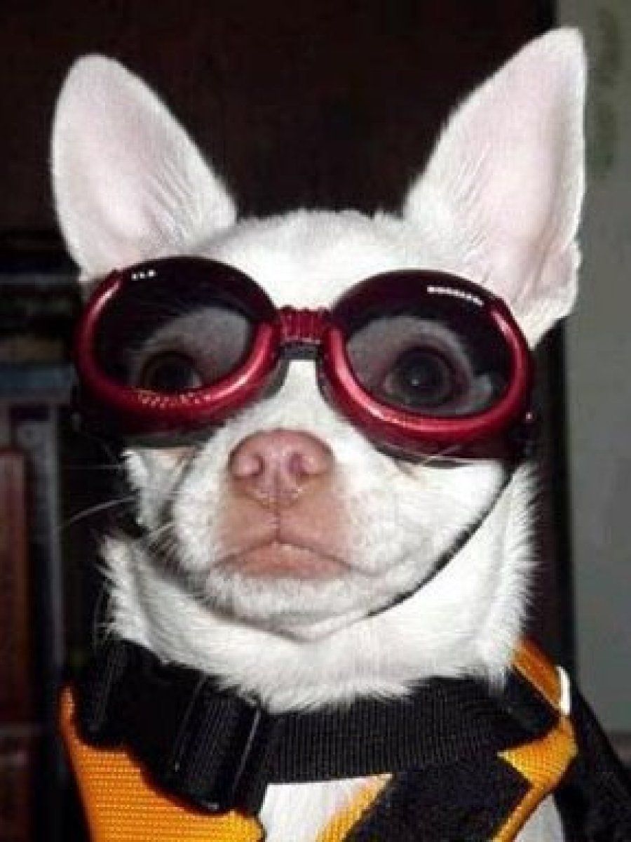 complementos contra el sol