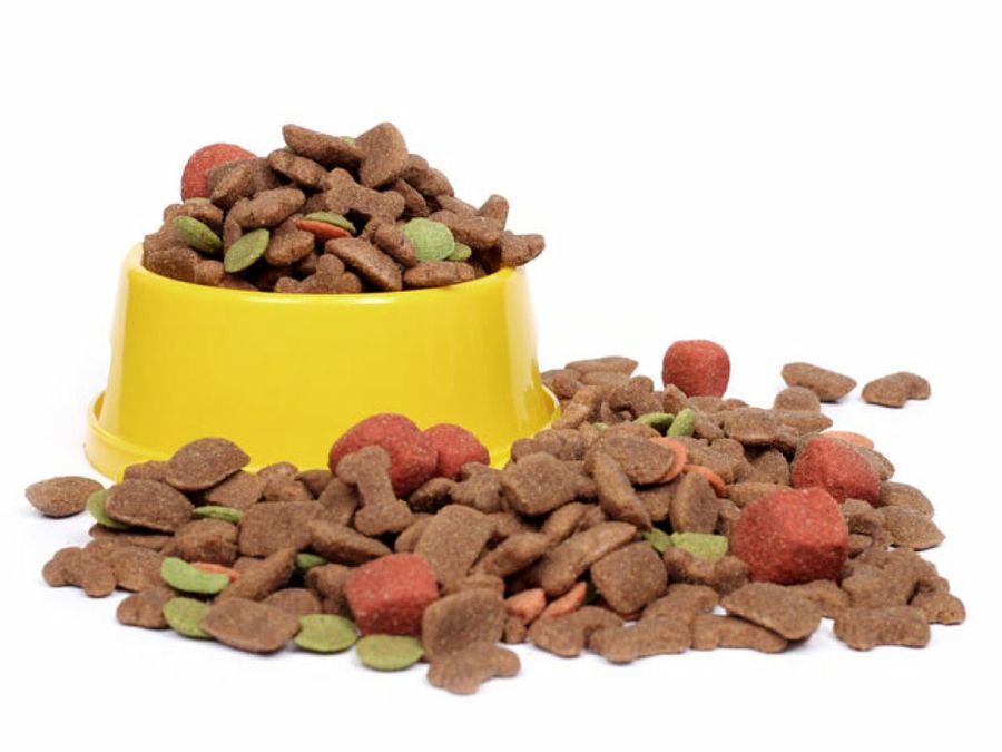 comida de perro