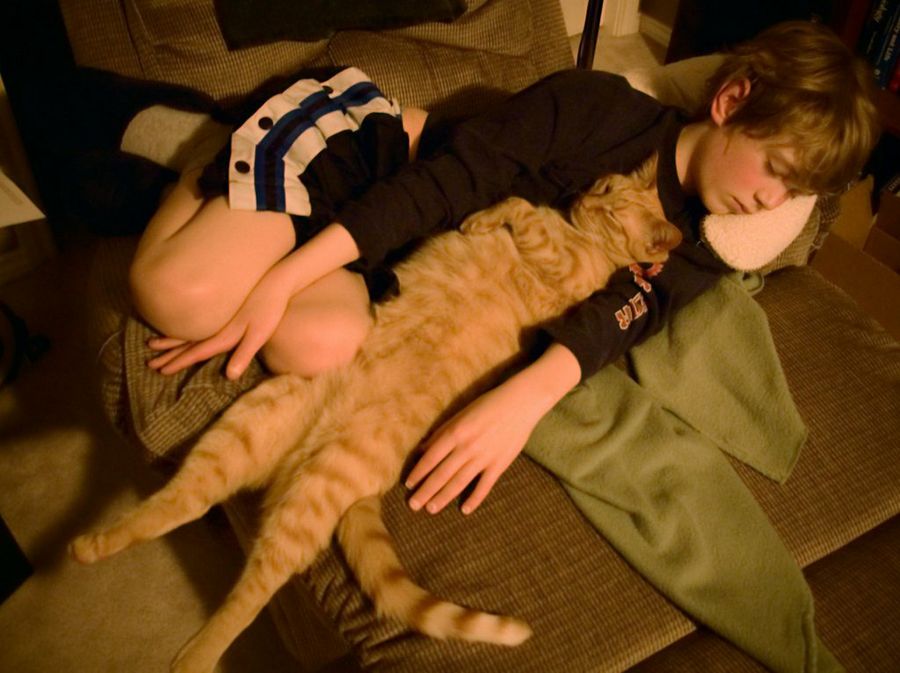 Niño y gato