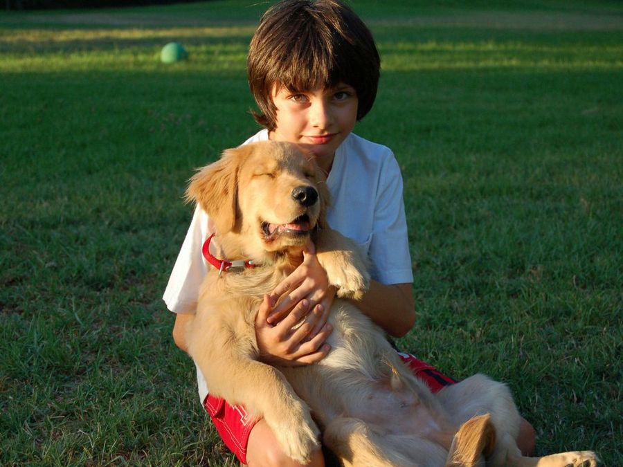 Perro y niño