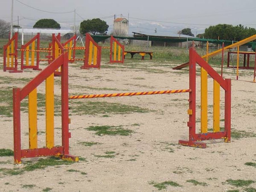 equipo entrenamiento