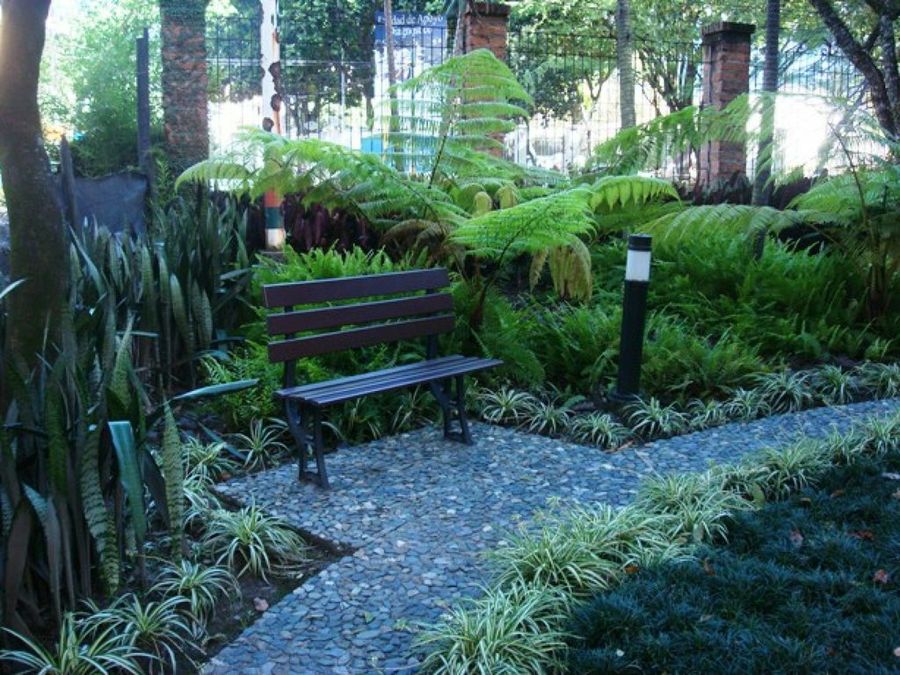 Imagen 4