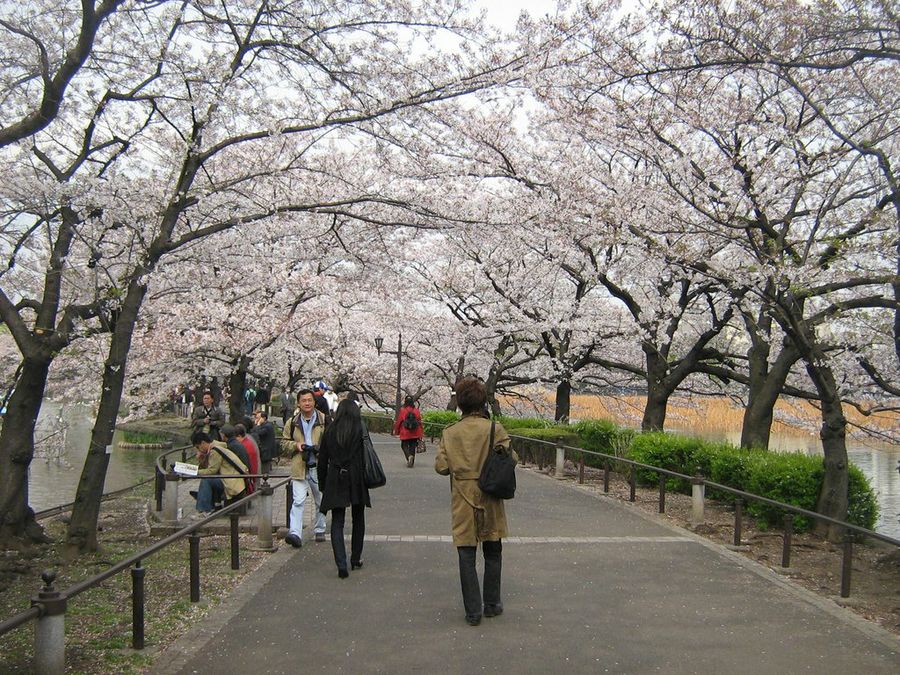 Ueno Park - Flickr - Gavin Anderson