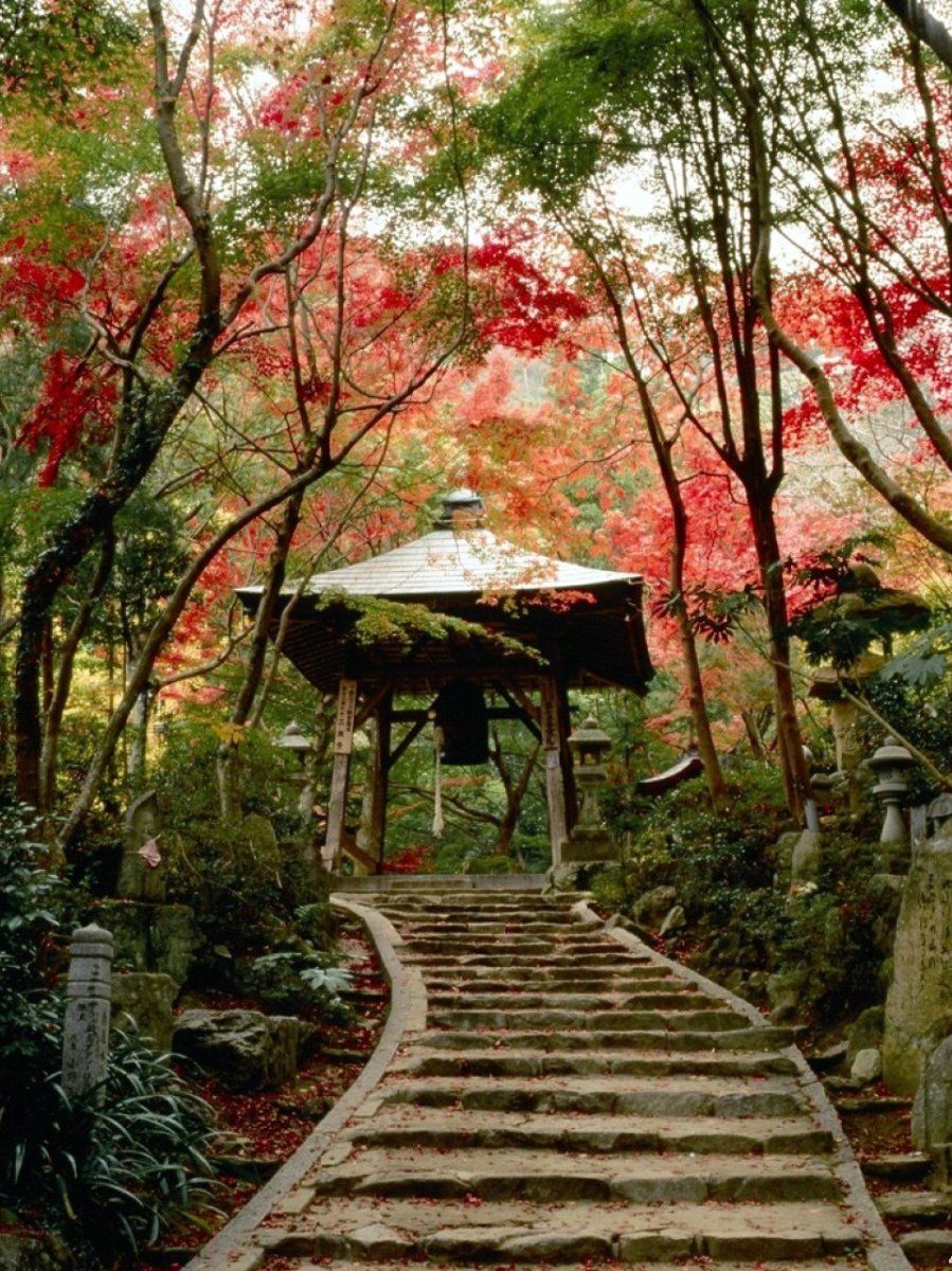 Japón