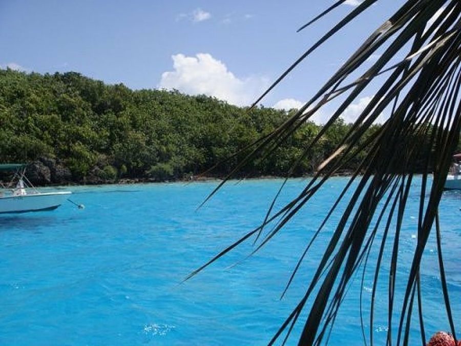 Imagen 2
