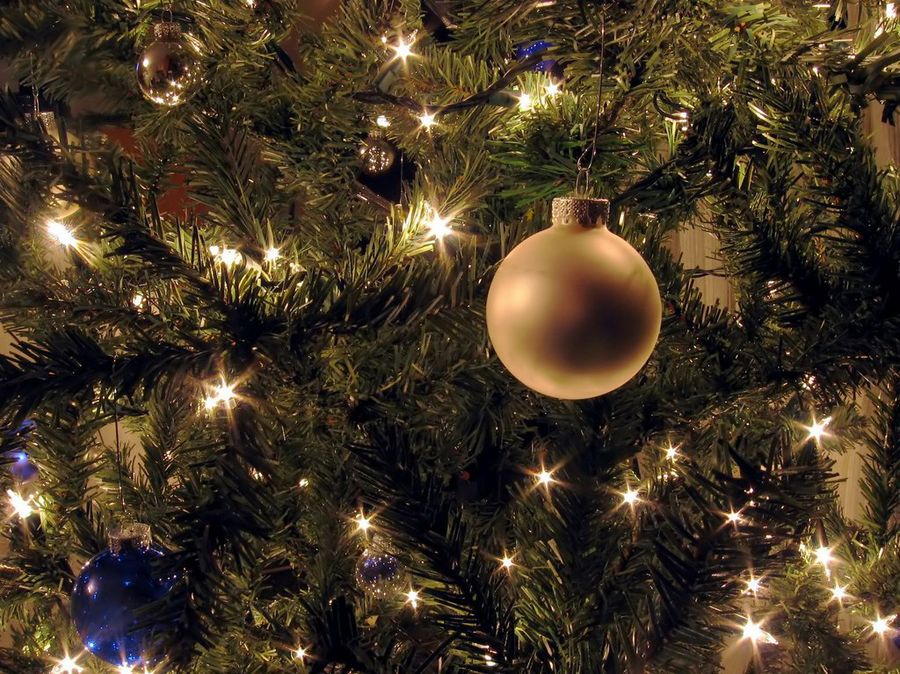 Navidad