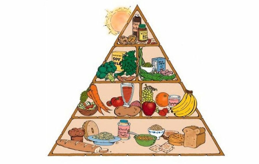 piramide nutricional