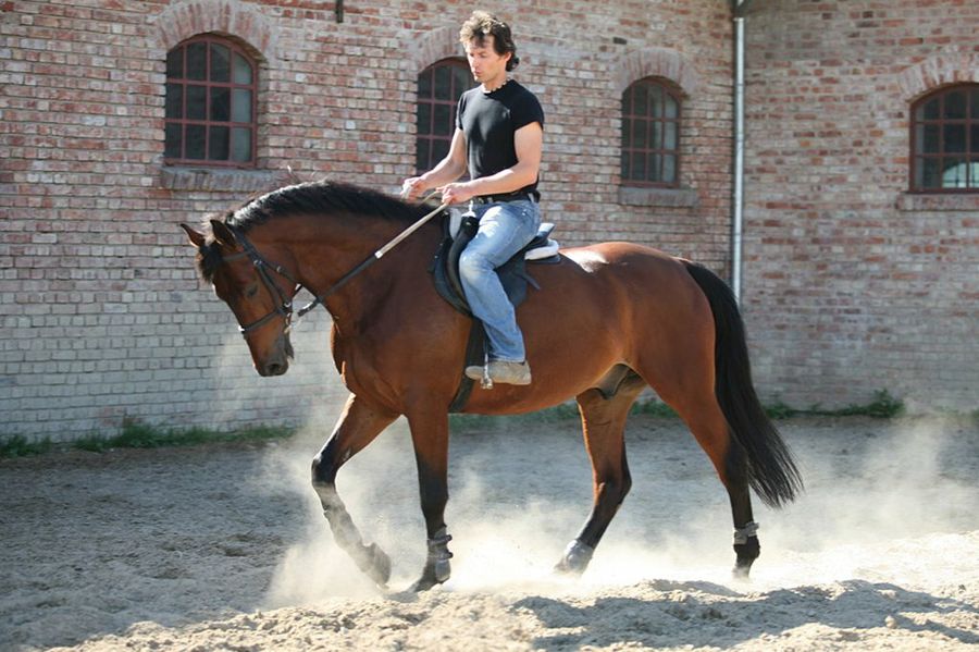 Caballo