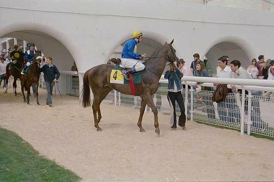 público de la carrera de caballos