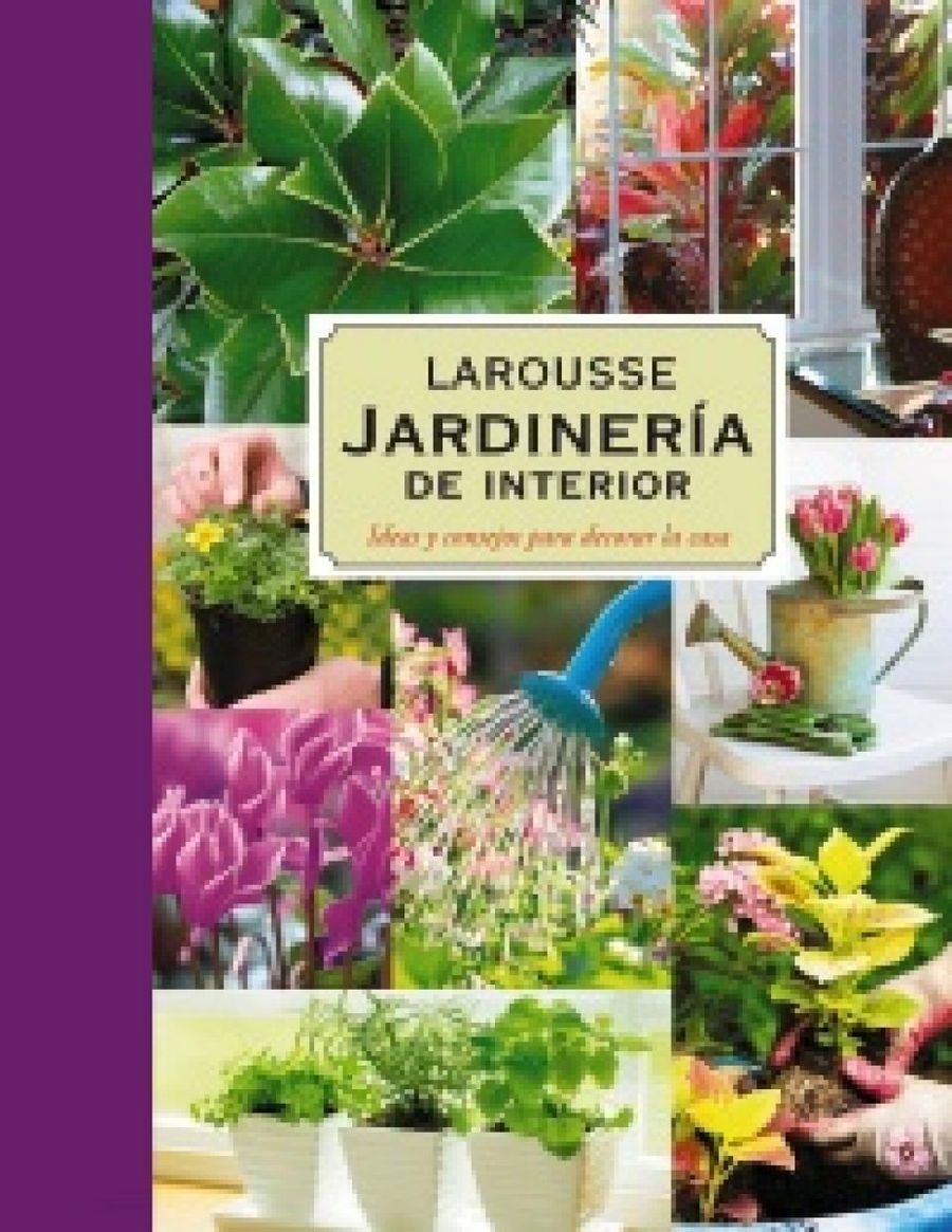 Libro Larousse