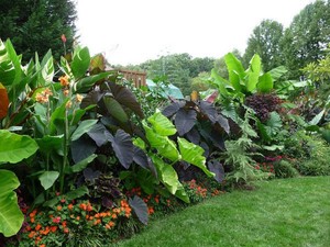 Diseño de jardines: tutorial paso a paso | Plantas