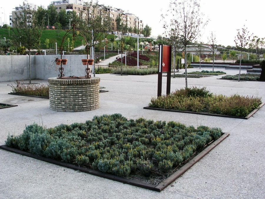 Huerto