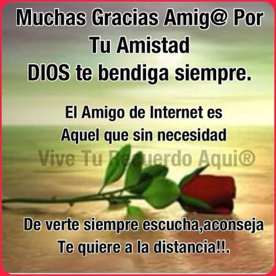 Imagen 10
