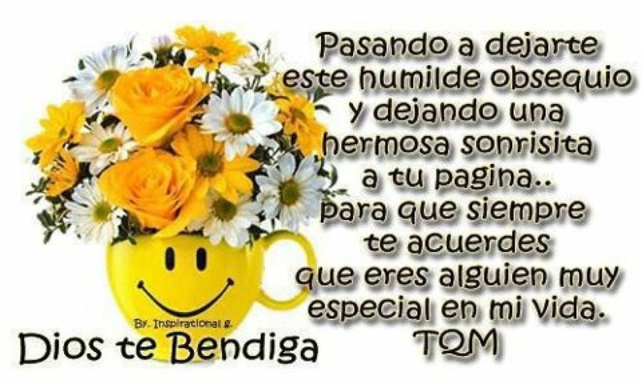 Imagen 16