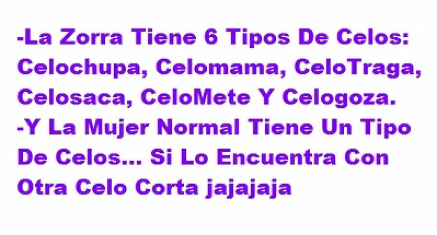 Imagen 22