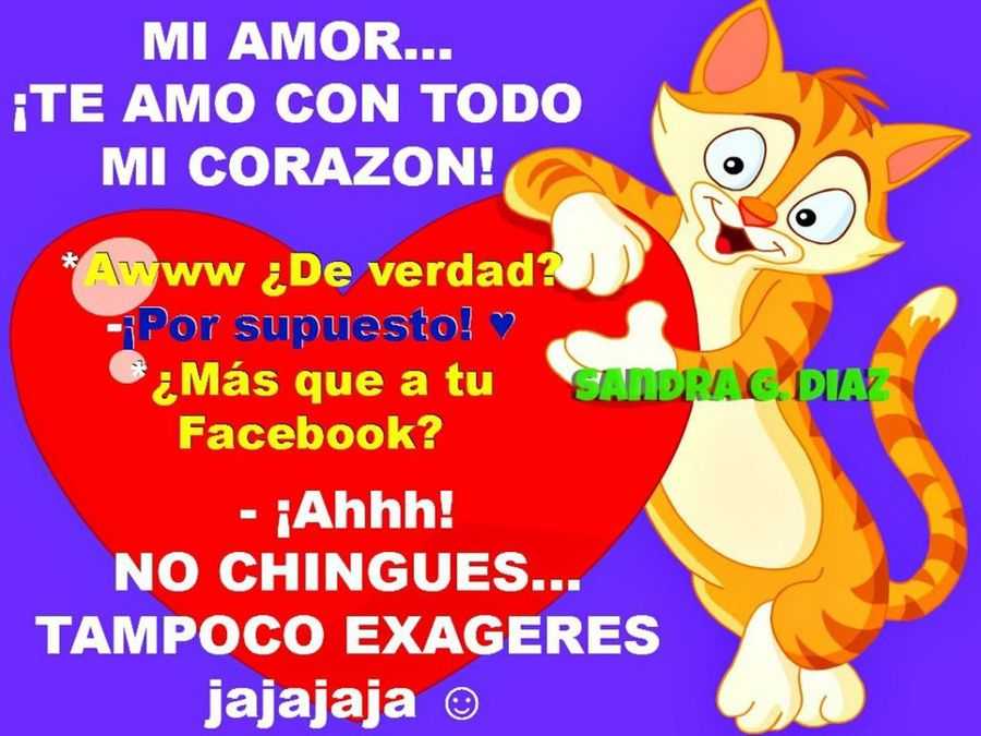 Imagen 48