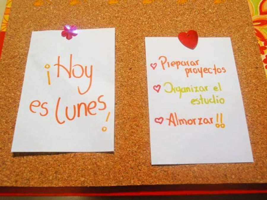 Imagen 7