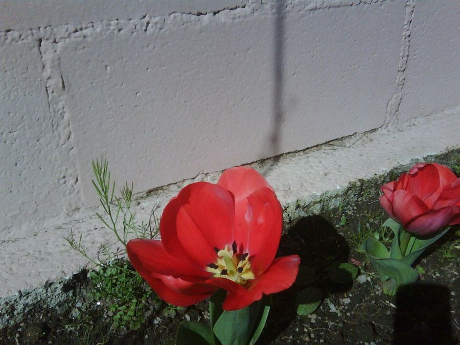Imagen 12