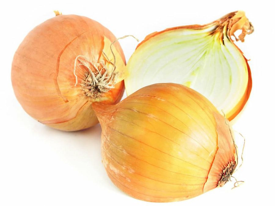 cebolla