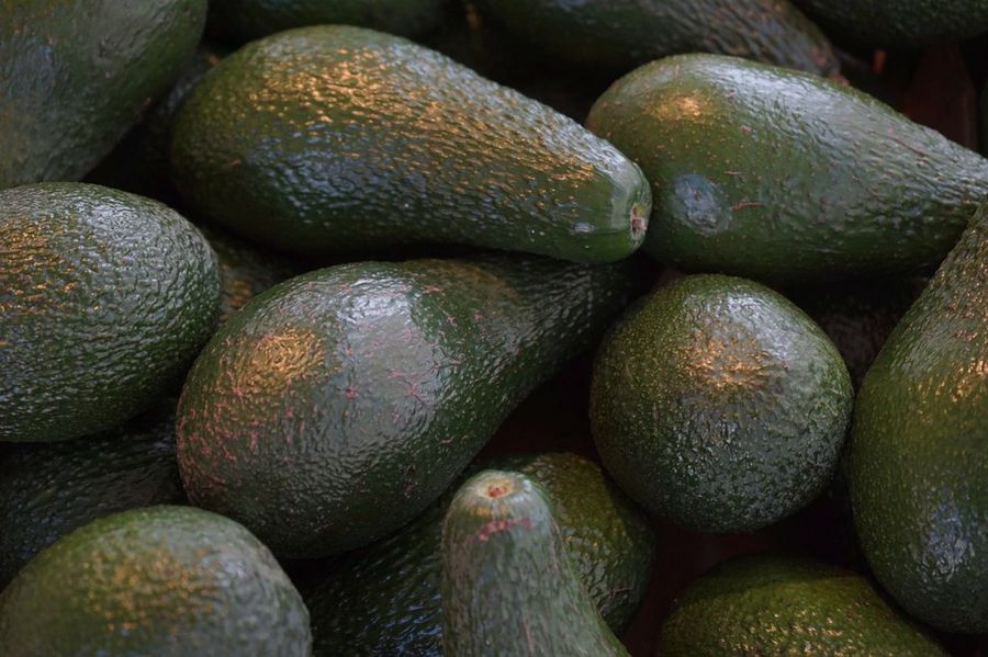 Aguacate