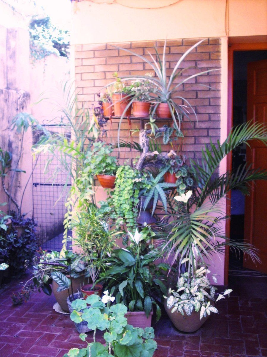 Imagen 5