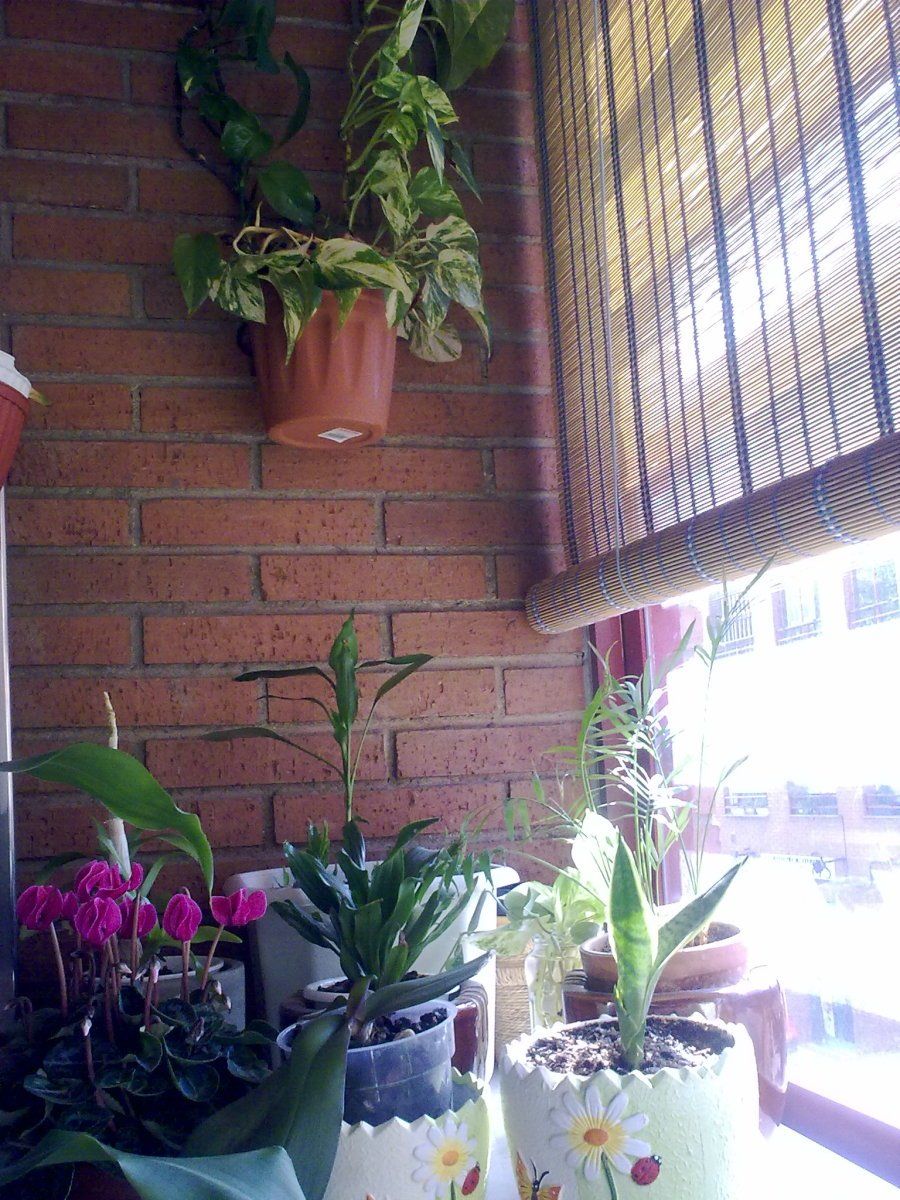 Imagen 8