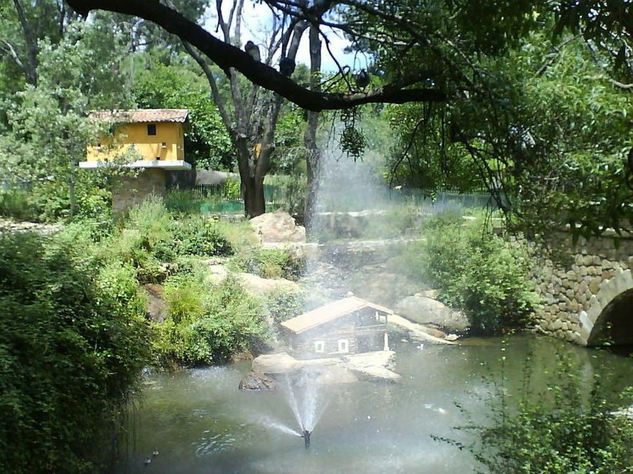 Parque de los pinos