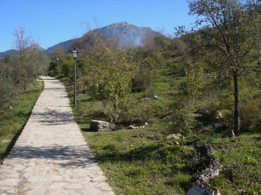camino de piedras