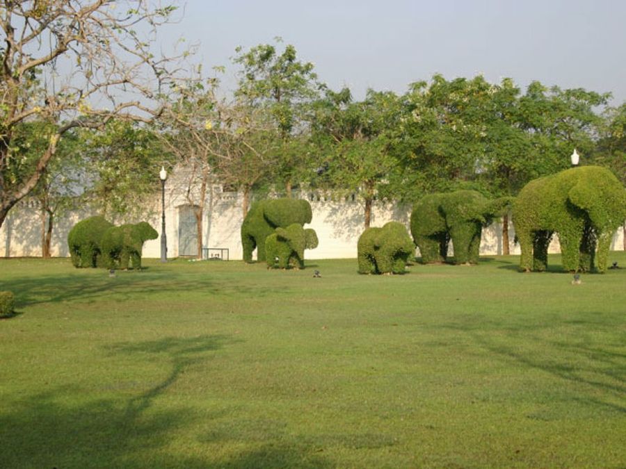 jardín de elefantes