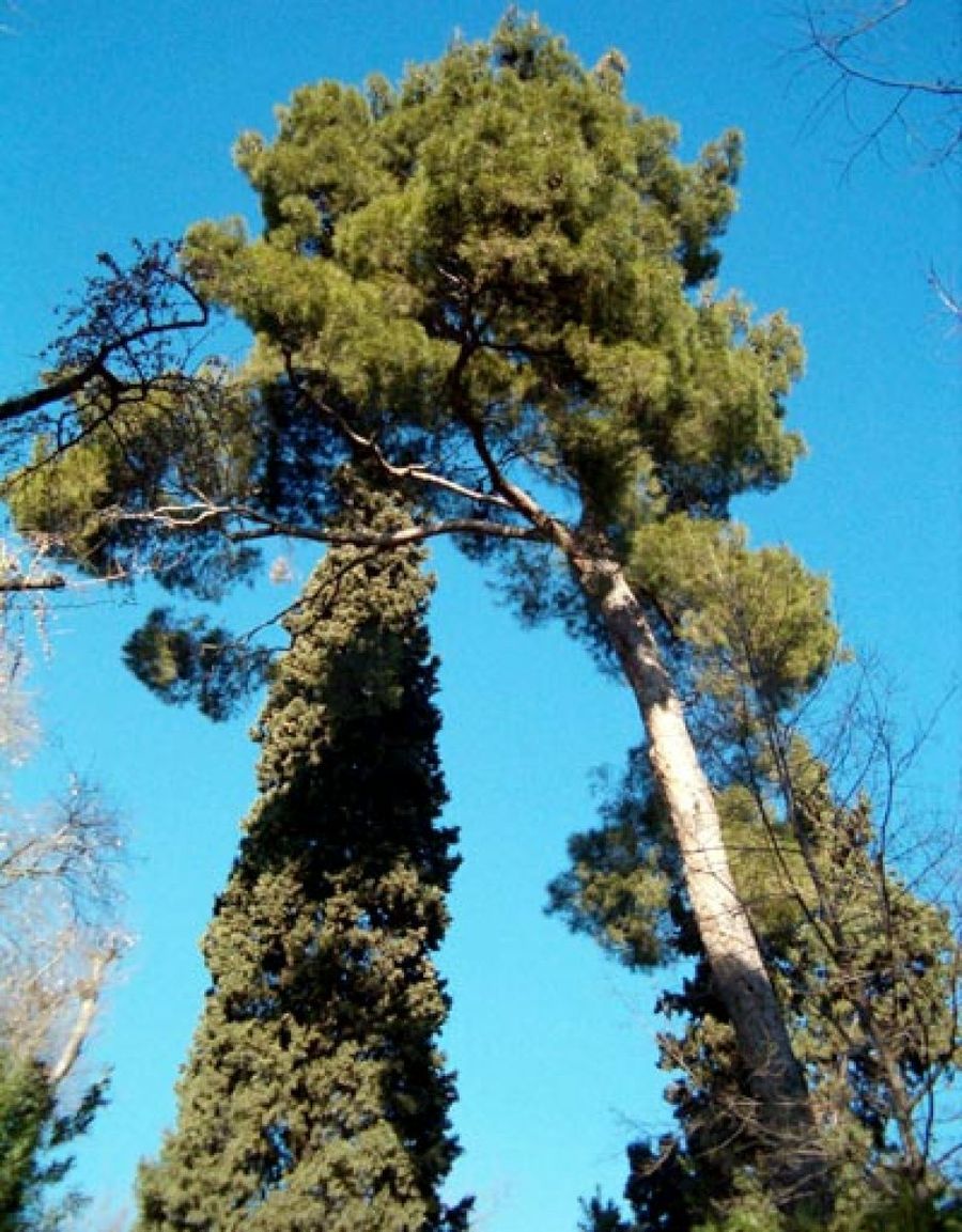 jardín botánico