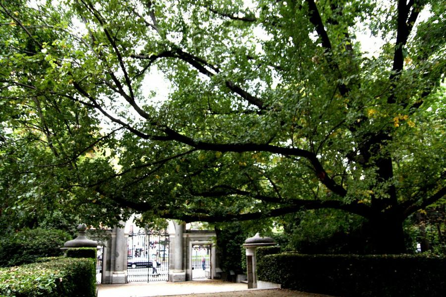 Jardín botánico de Madrid