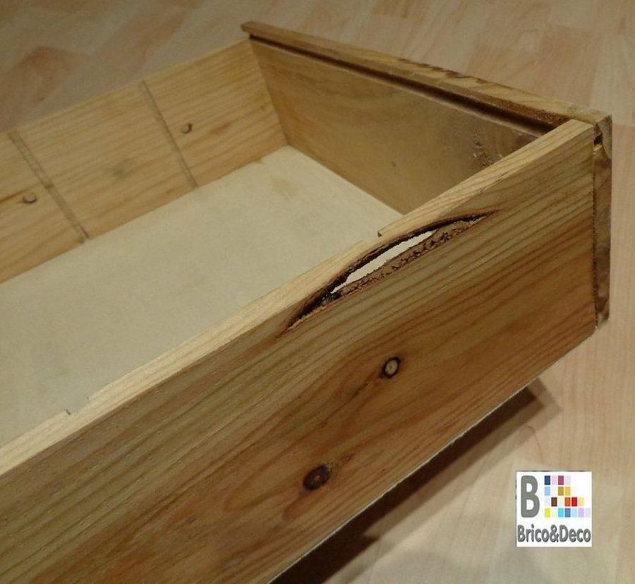 Imagen 2