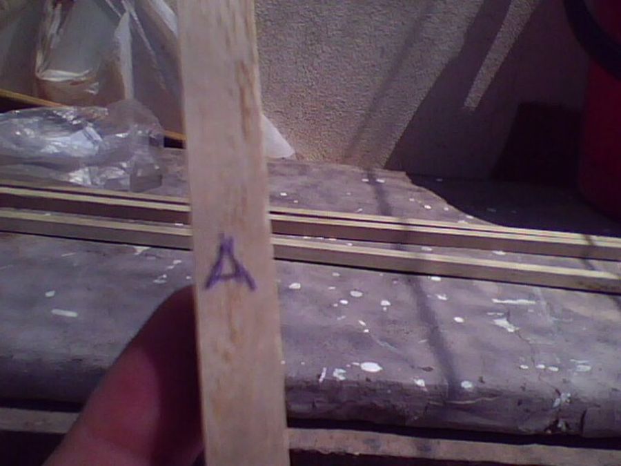 Imagen 5
