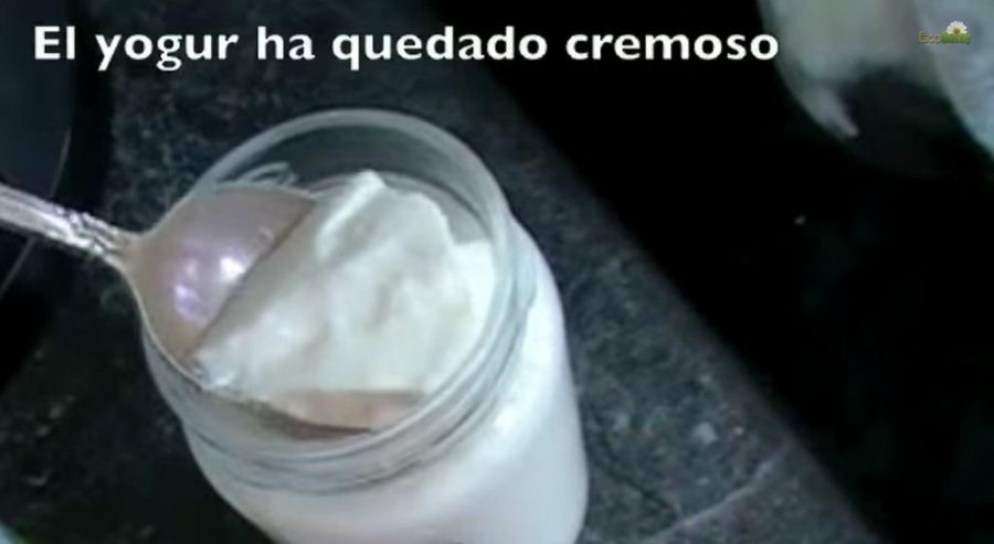 Delicioso Yogur Casero Fácil De Preparar | Salud