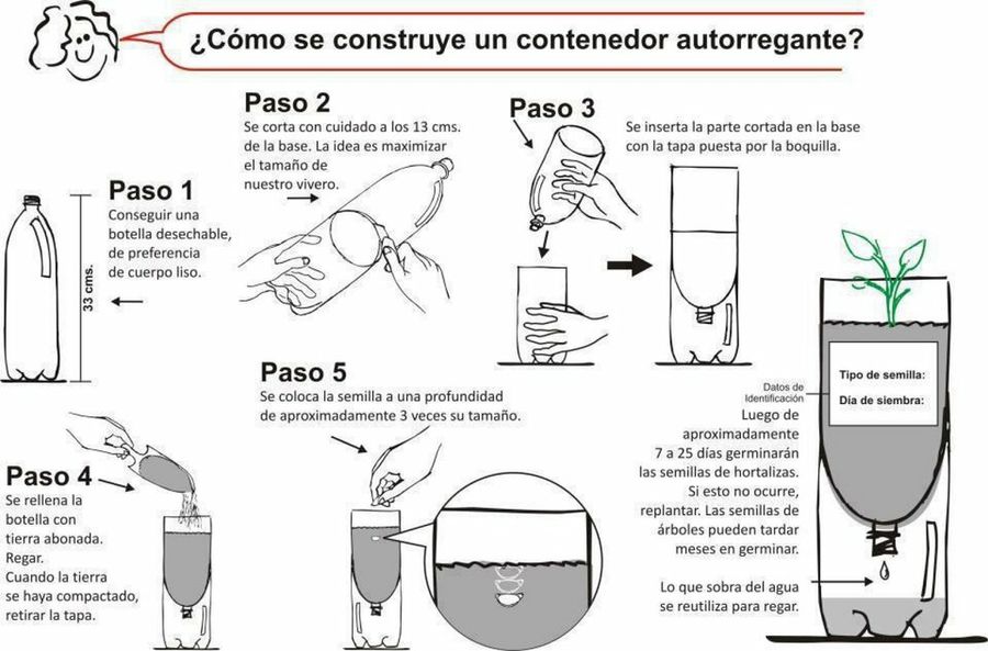 Imagen 4