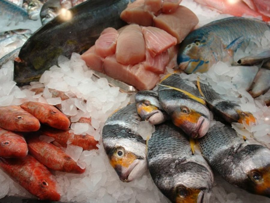 Pescados en la pescaderia