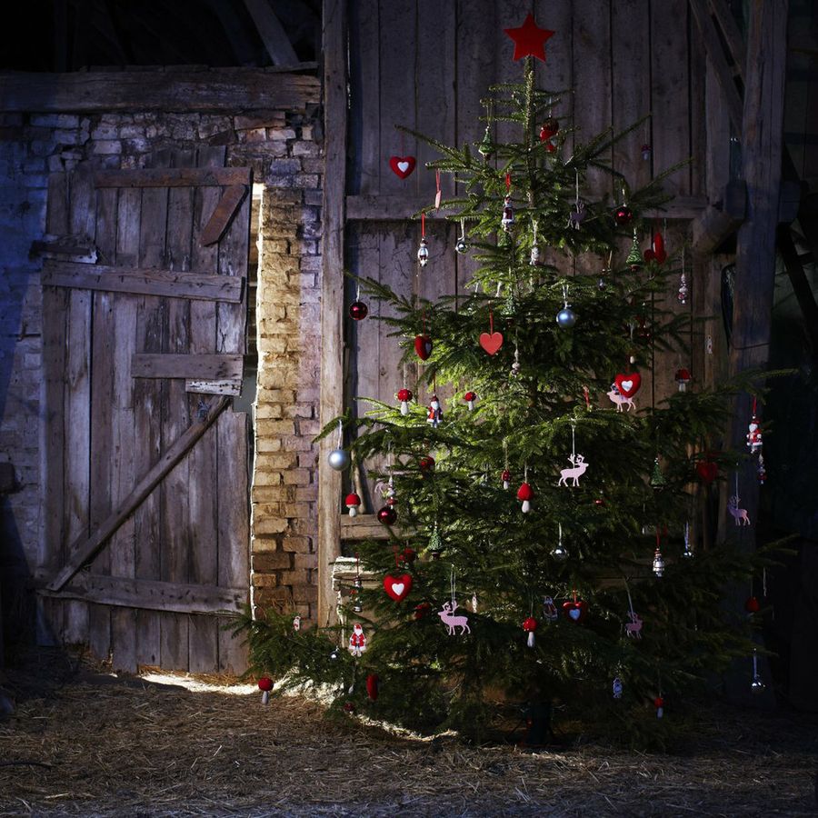 navidad