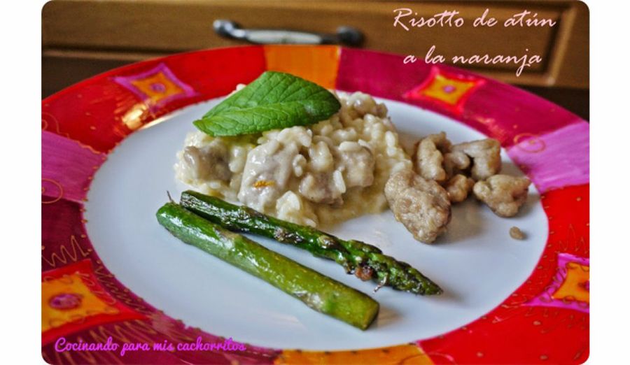 8 recetas con atún fresco Cocina