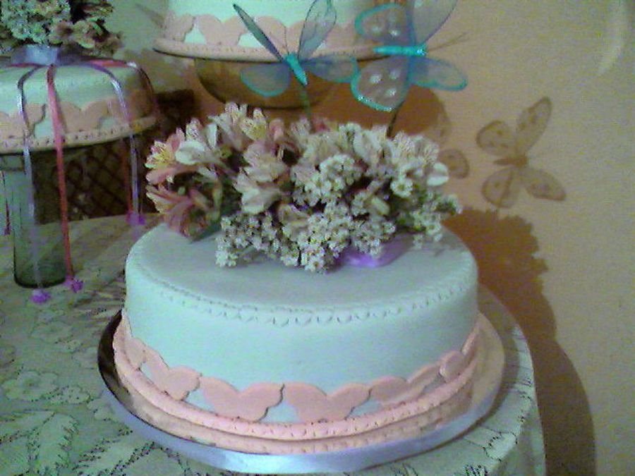 Imagen 11