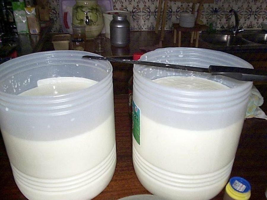 leche fermentada