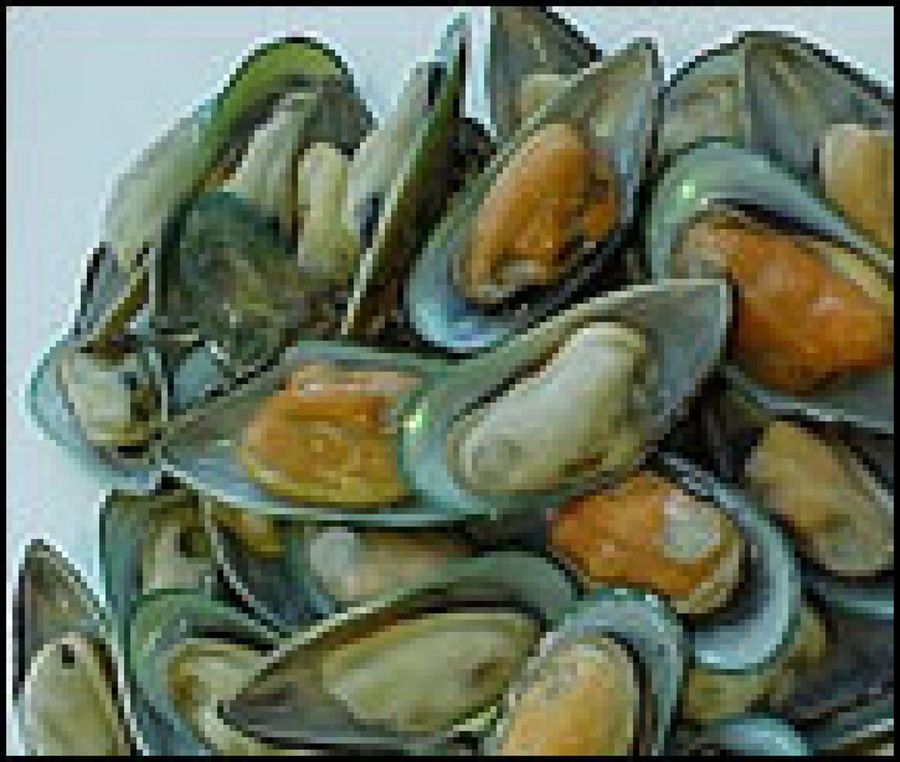 Mejillones